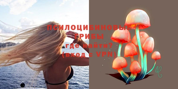 спиды Алзамай